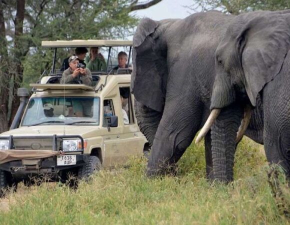 6 Days 5 Nights Lake Manyara, Serengeti, Ngorongoro And Tarangire Safari <br><p style="color: #eb882f;"> From USD 1,513</p>