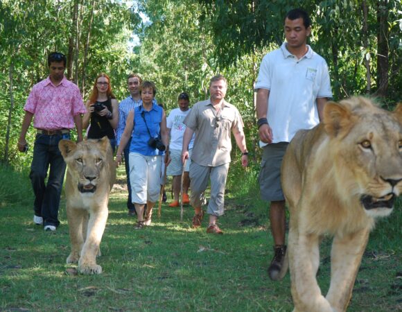 5 DAYS MAURITIUS OFFERS APRIL TO JULY 2023 <br><p style="color: #eb882f;"> From KES.158,200</p>